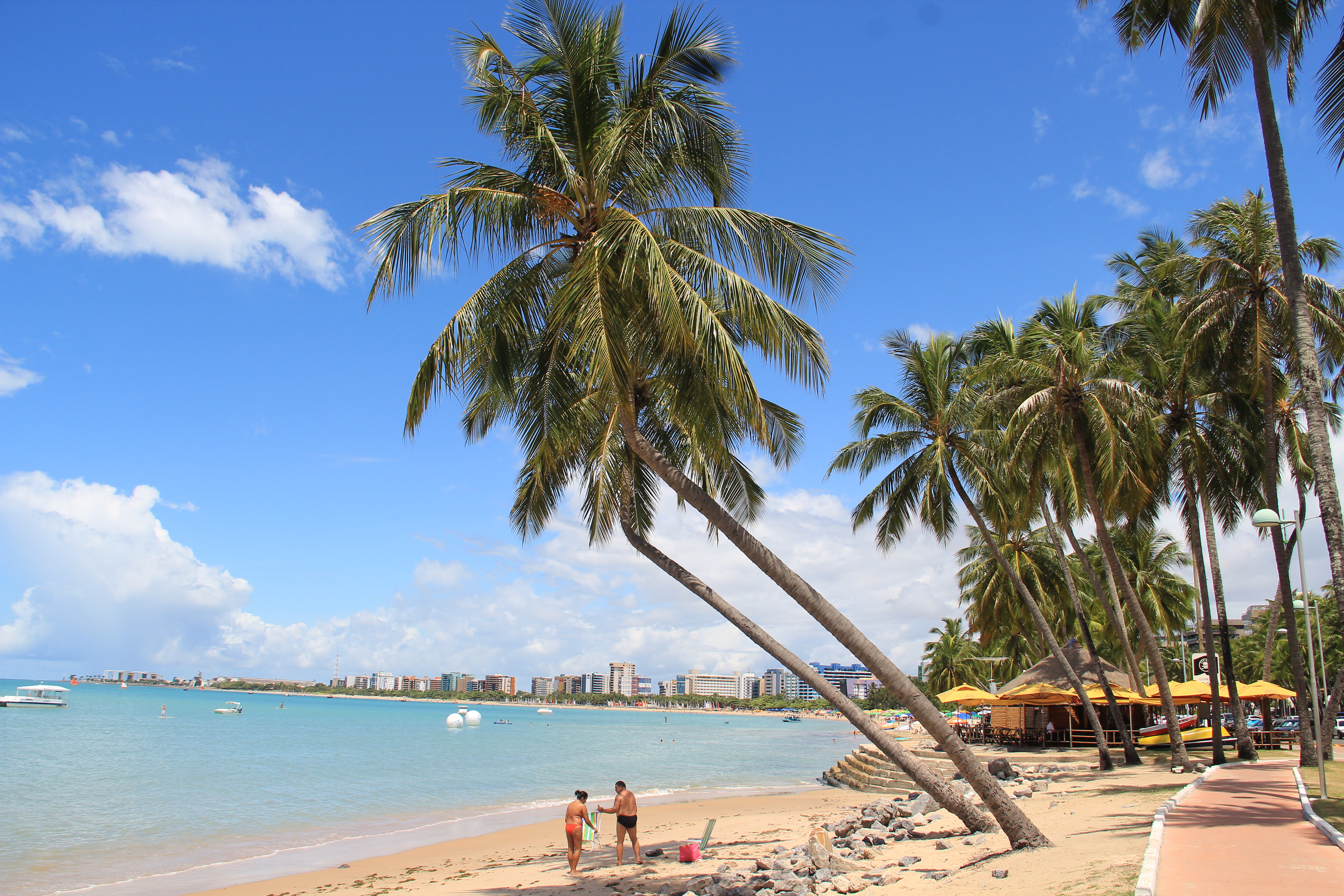 Mar azul e coqueiros da orla da praia de Pajuçara, em Maceió